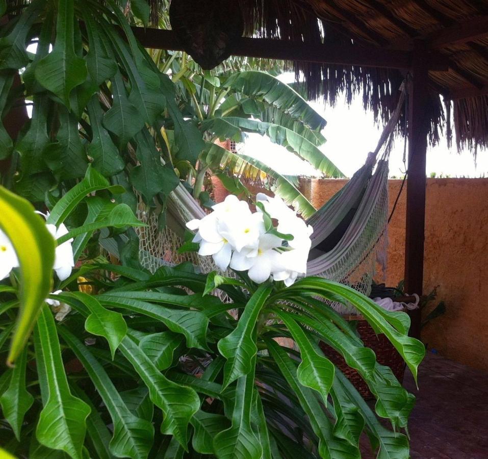 Bed and Breakfast Casa Do Jardim Canoa Quebrada Exterior foto