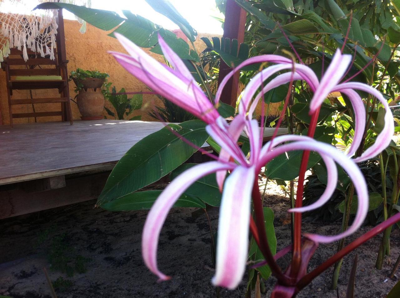 Bed and Breakfast Casa Do Jardim Canoa Quebrada Exterior foto